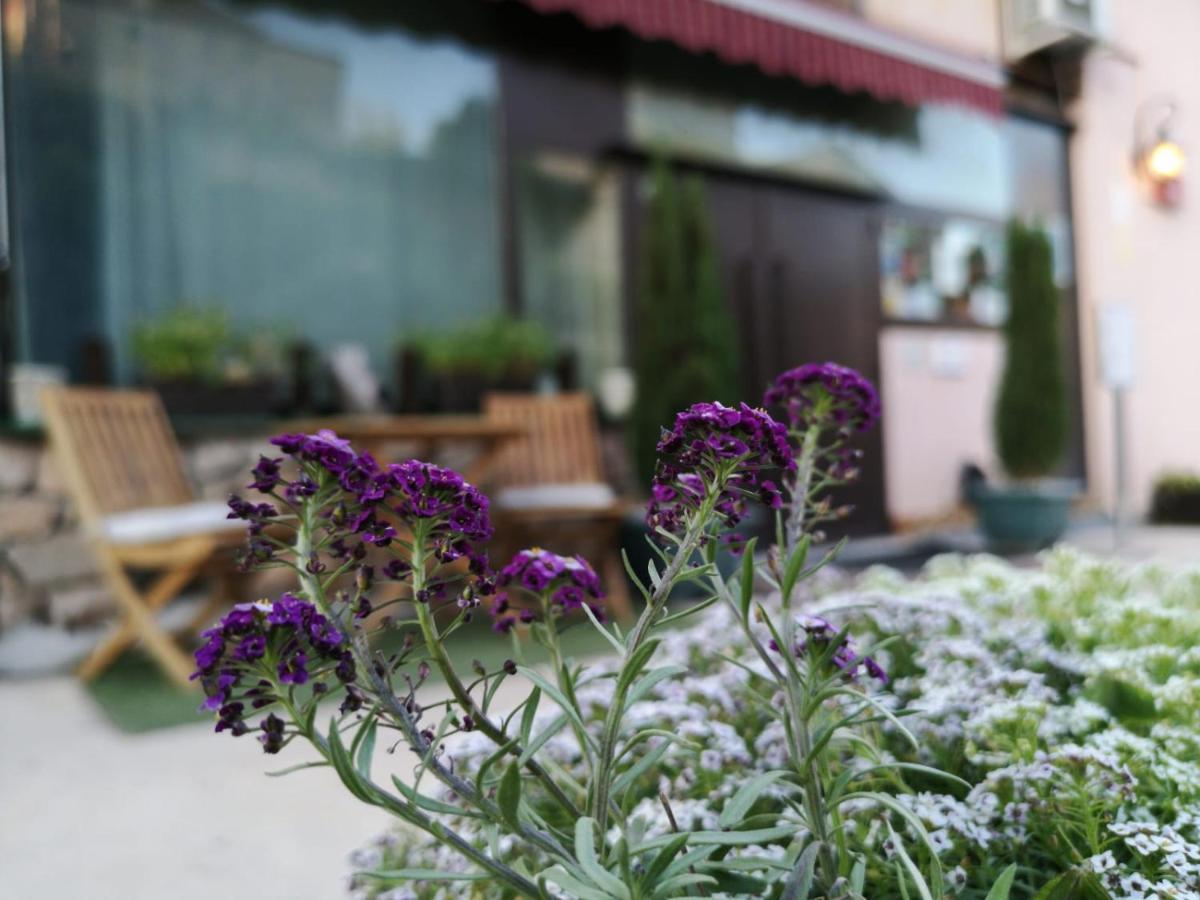 Hotel Cardamomo Sigüenza Carabias  Esterno foto